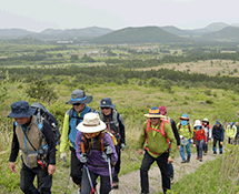 제주섬 글로벌 에코투어
