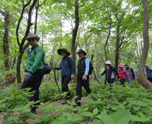 사려니 에코힐링 체험