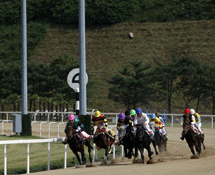 한라일보 대상경주